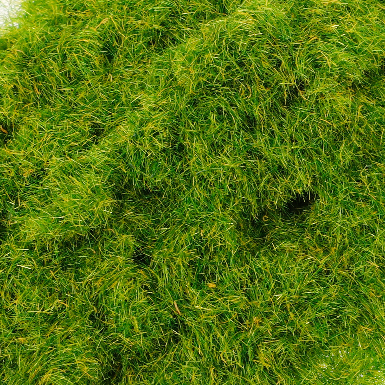 Decorative Moss for DIY Crafts - đánh giá và giá Bonsai Garden Design