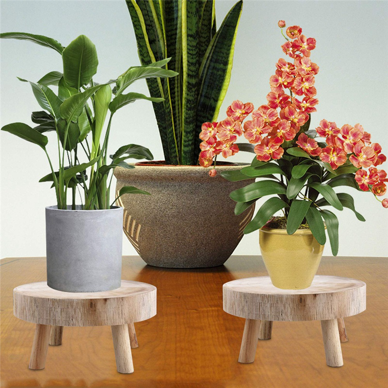 FBIL-Mini Wooden Stool Display - đánh giá và giá Up Bonsai Garden