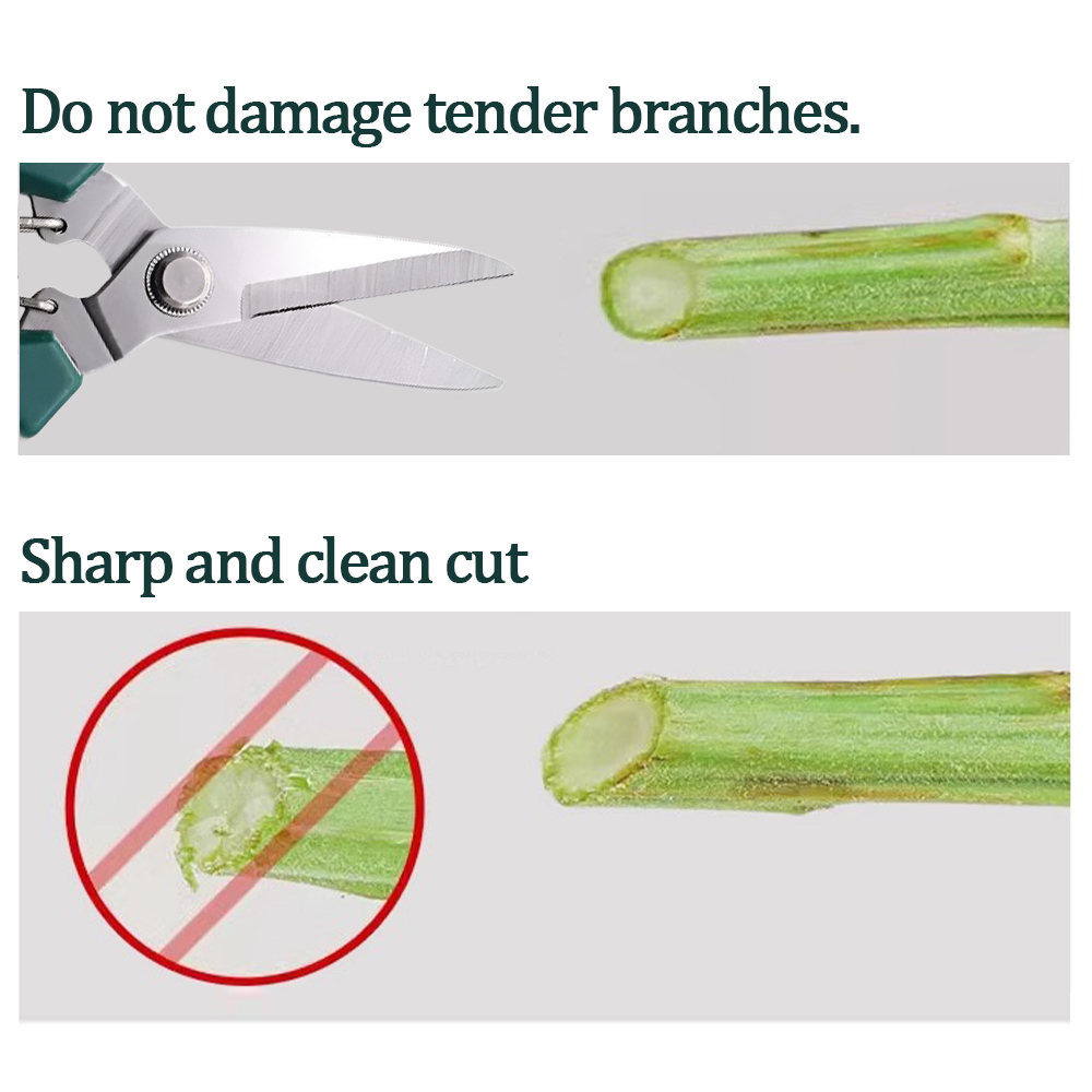 Home-use pruning tools for bon - đánh giá và giá Bonsai Garden Knife