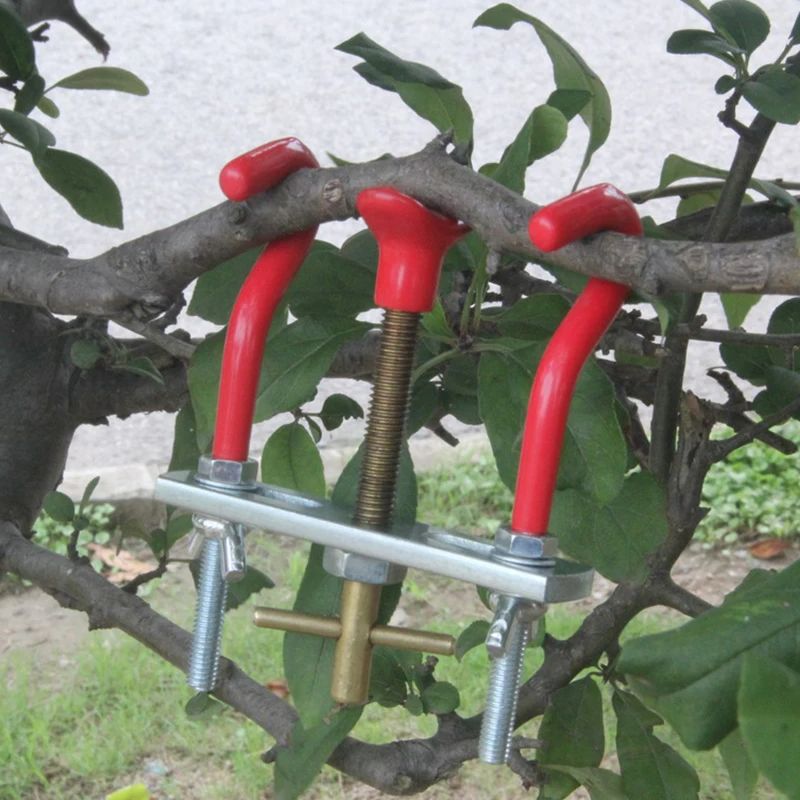 Bonsai Tools The Trees Branch  - đánh giá và giá Bonsai Garden Knife