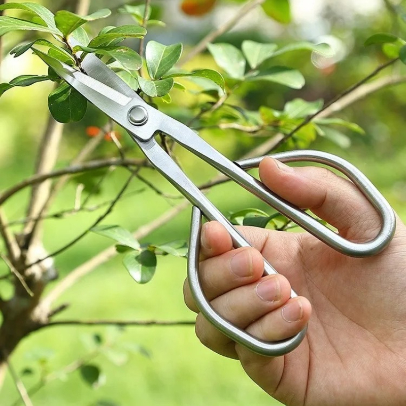 Tender Leaf Scissors Bonsai To - đánh giá và giá Bonsai Garden Knife