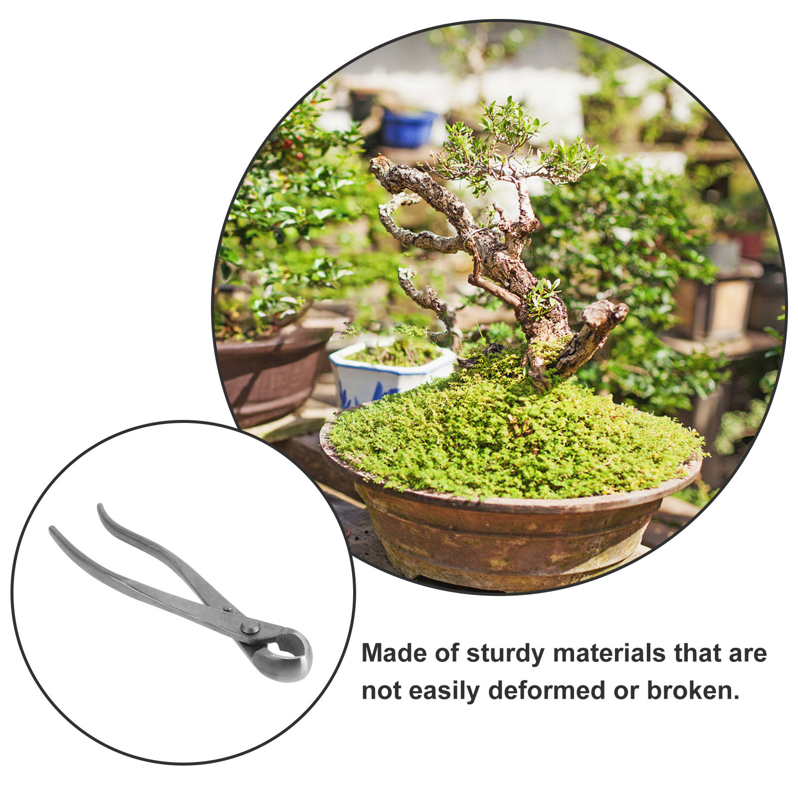 Premium Concave Bonsai Pruners - đánh giá và giá Bonsai Garden Knife