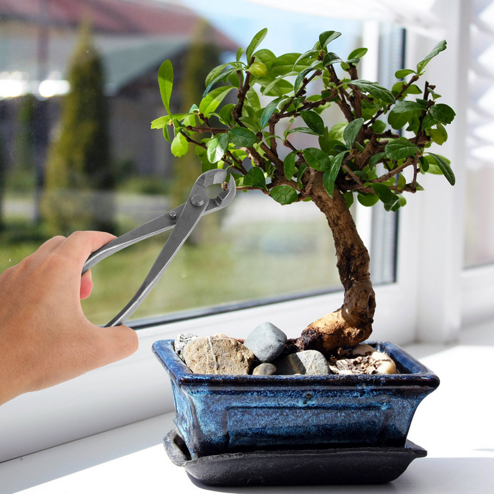 Premium Concave Bonsai Pruners - đánh giá và giá Bonsai Garden Knife