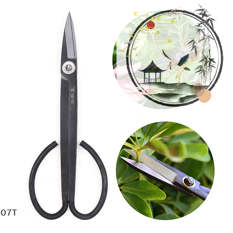 Long Handle Scissors Bonsai To - đánh giá và giá Bonsai Garden Knife