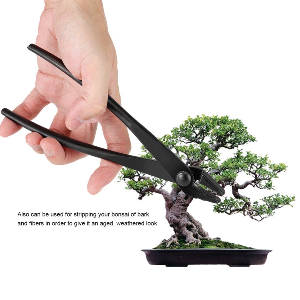 Professional Manganese Steel A - đánh giá và giá Bonsai Garden Knife