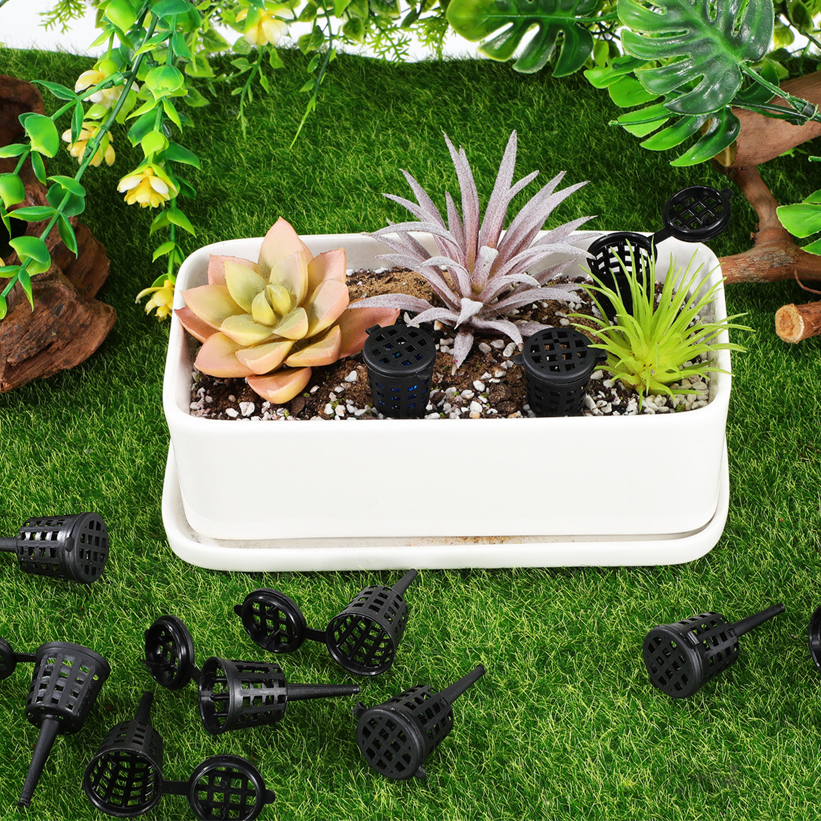 50Pcs Fertilizer Baskets Plast - đánh giá và giá Bonsai Garden Design