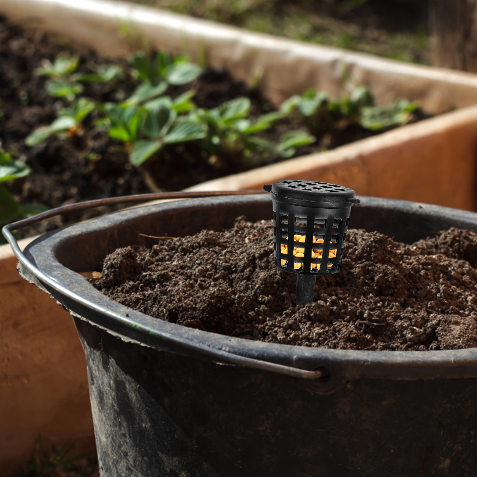 50Pcs Fertilizer Baskets Plast - đánh giá và giá Bonsai Garden Design