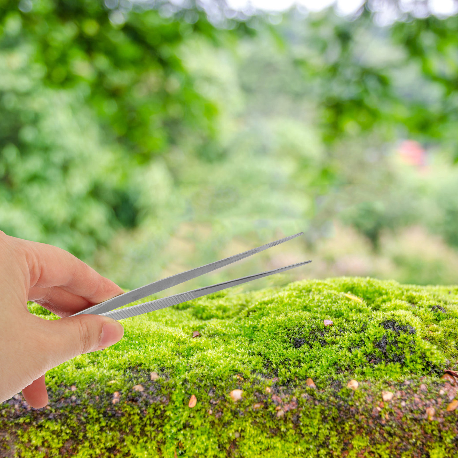 Premium Stainless Steel Bonsai - đánh giá và giá Bonsai Garden Knife