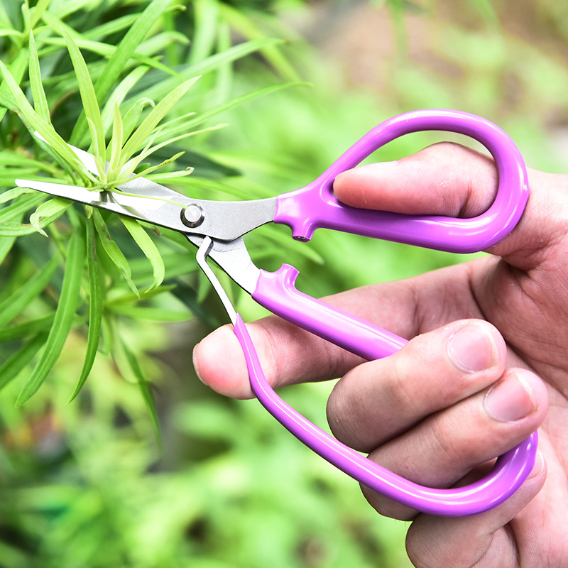 Stainless Steel Pruning Shear  - đánh giá và giá Bonsai Garden Knife
