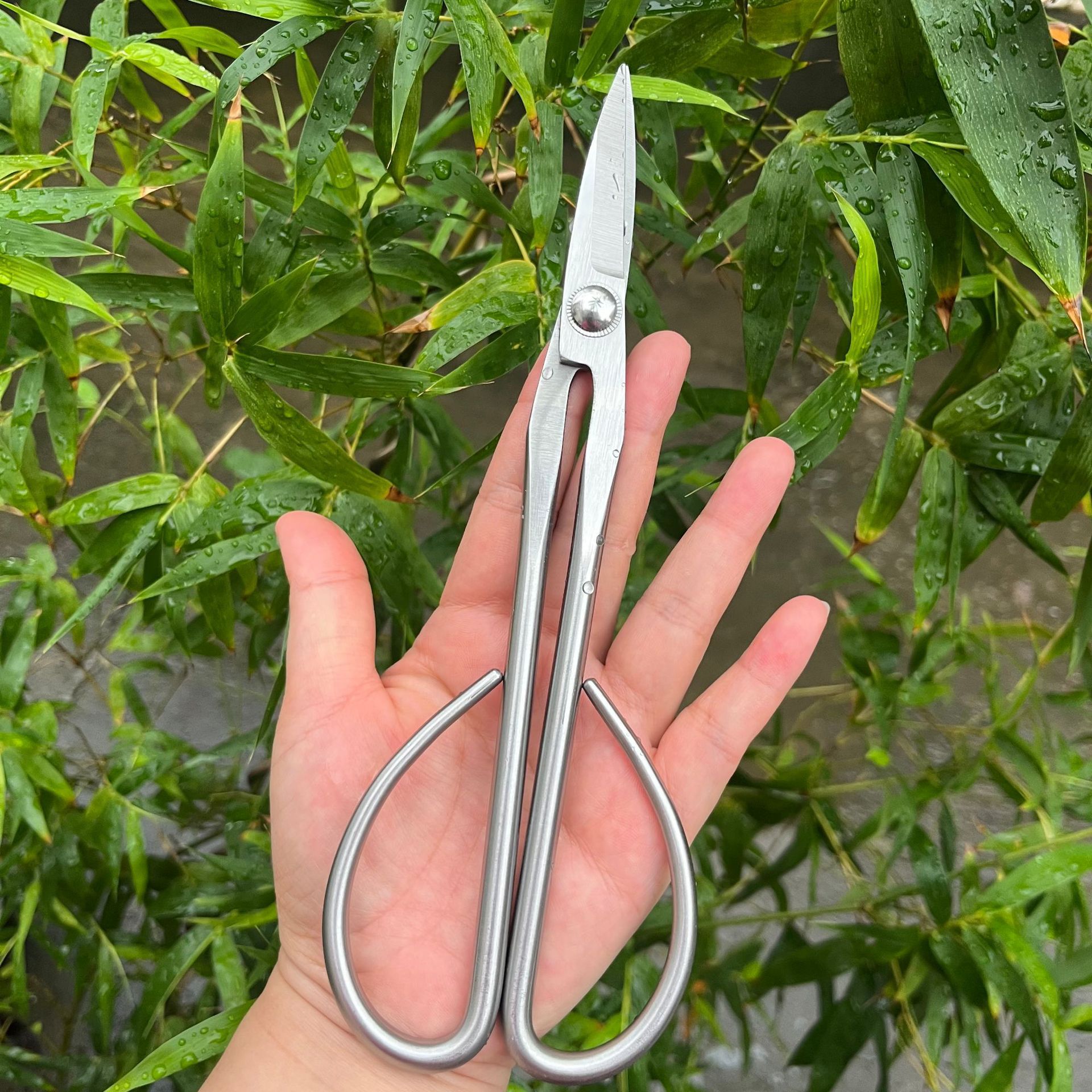 All Steel Scissors Garden Bons - đánh giá và giá Bonsai Garden Knife