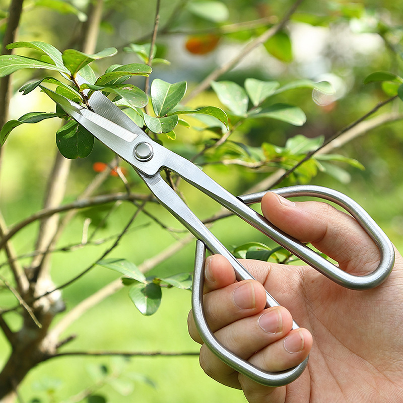All Steel Scissors Garden Bons - đánh giá và giá Bonsai Garden Knife