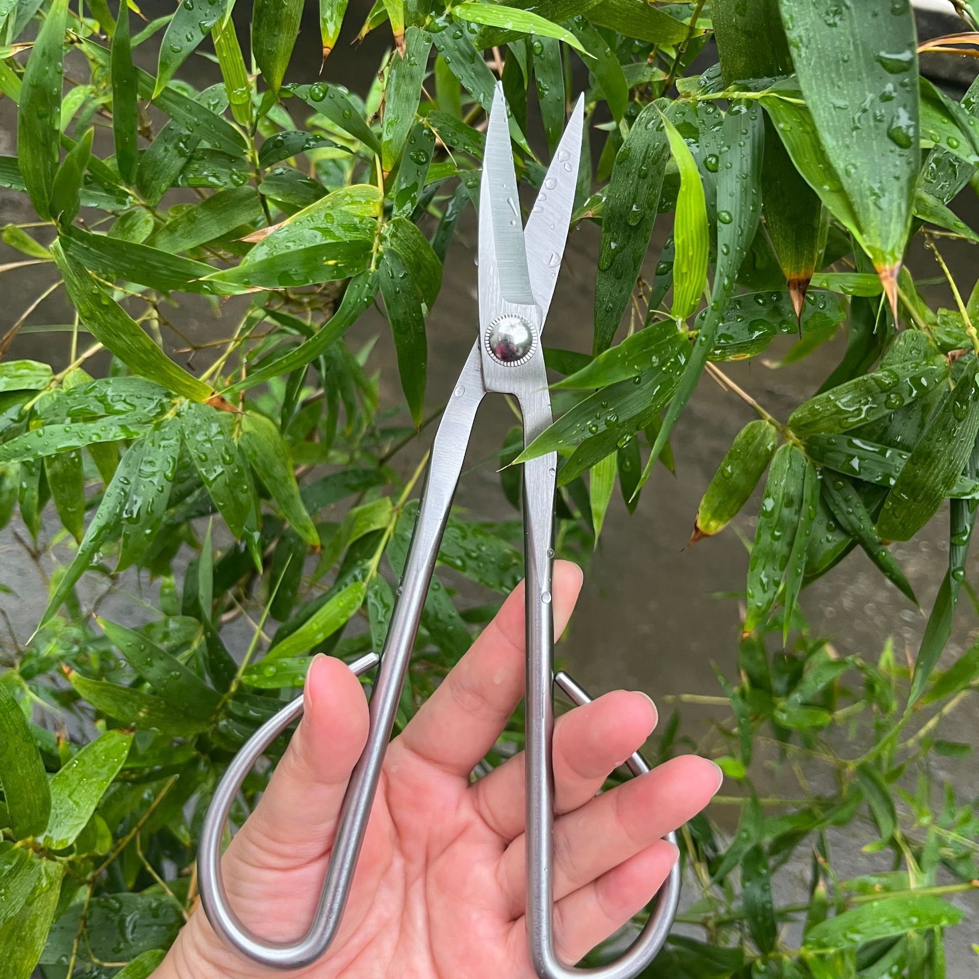 All Steel Scissors Garden Bons - đánh giá và giá Bonsai Garden Knife