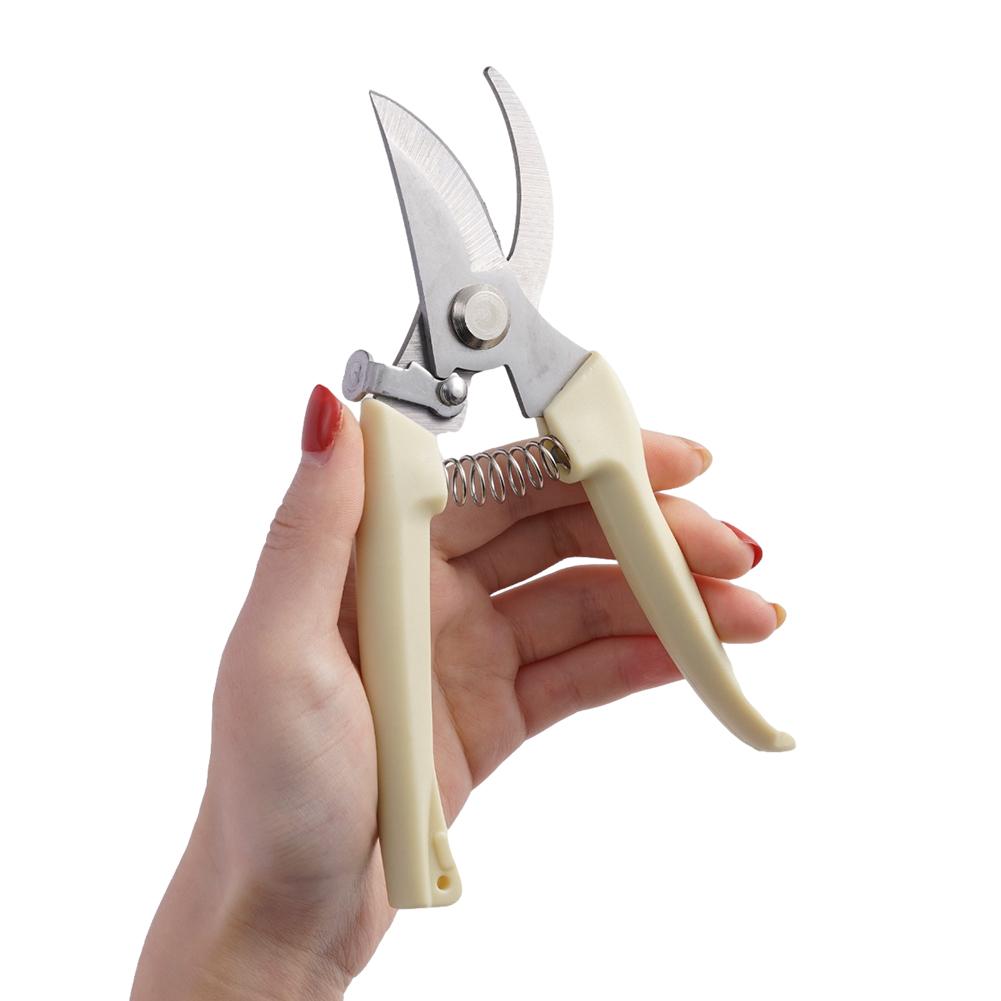 Stainless Steel Pruning Scisso - đánh giá và giá Bonsai Garden Knife